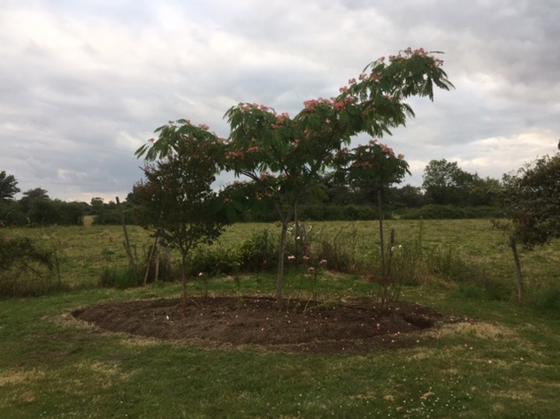 Image No.19-3 Bed House for sale