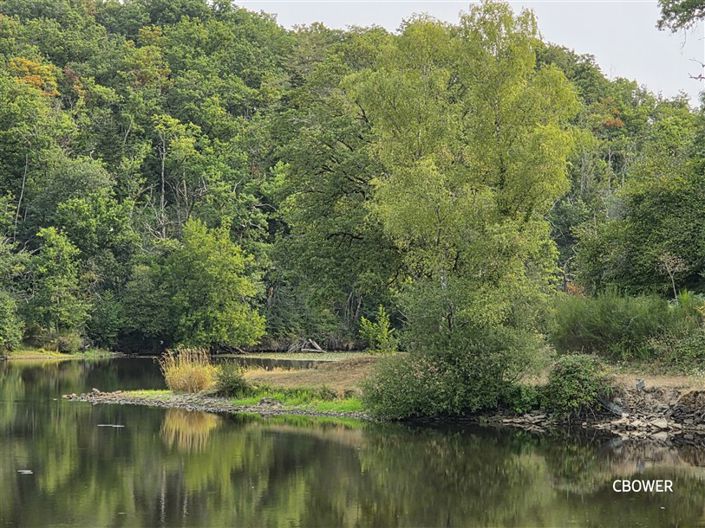 Image No.42-11 Bed House for sale