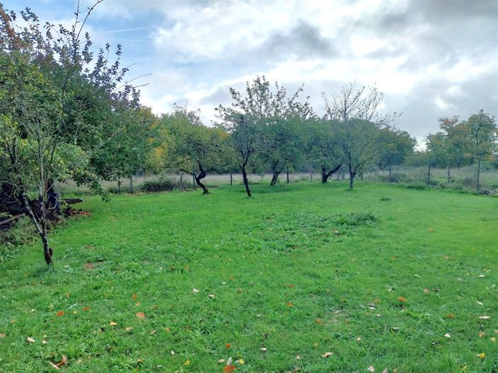 Image No.20-3 Bed House for sale