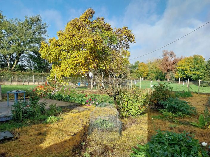 Image No.19-3 Bed House for sale