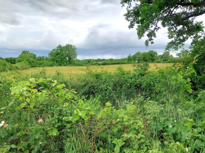 Image No.20-Ferme de 6 chambres à vendre à Prissac