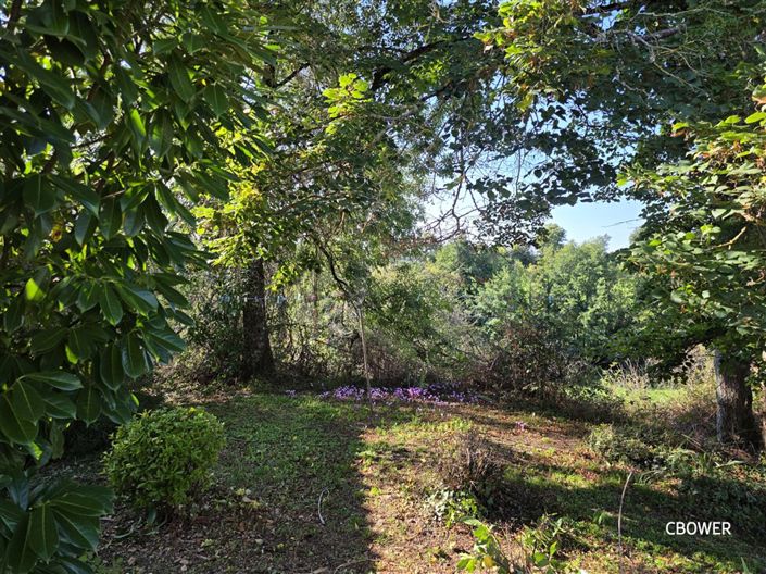 Image No.6-5 Bed House for sale