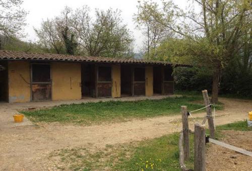 Image No.8-Propriété de 7 chambres à vendre à Gallicano