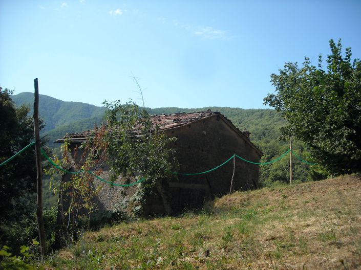 Image No.3-Propriété de 3 chambres à vendre à Gallicano