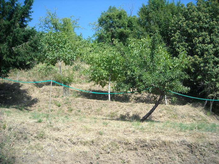 Image No.6-Propriété de 3 chambres à vendre à Gallicano