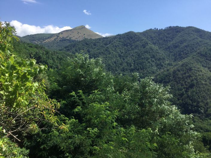 Image No.10-Jumelé de 1 chambre à vendre à Bagni di Lucca