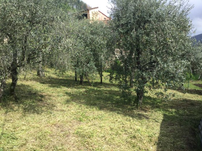 Image No.12-4 Bed Semi-Detached for sale