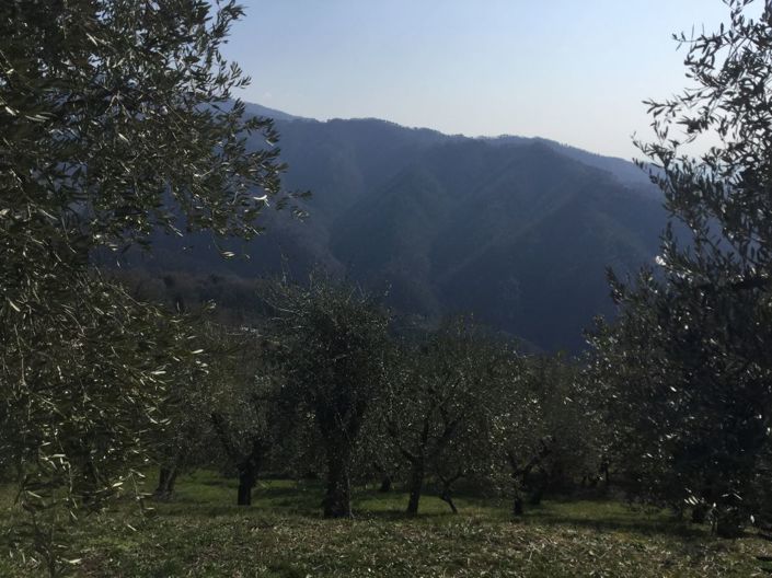 Image No.16-Propriété de 4 chambres à vendre à Lucca