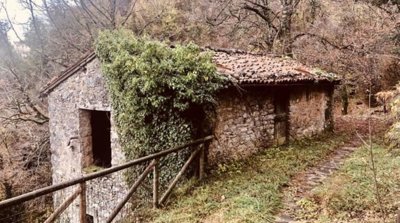 4925-molazzana-a6-h