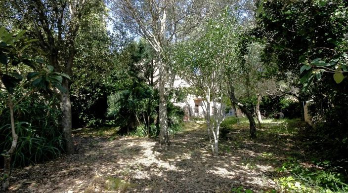 Image No.13-3 Bed Semi-Detached for sale