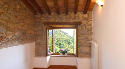 5115-vergemoli-g1