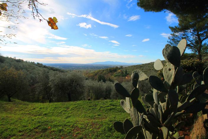 Image No.14-5 Bed Property for sale