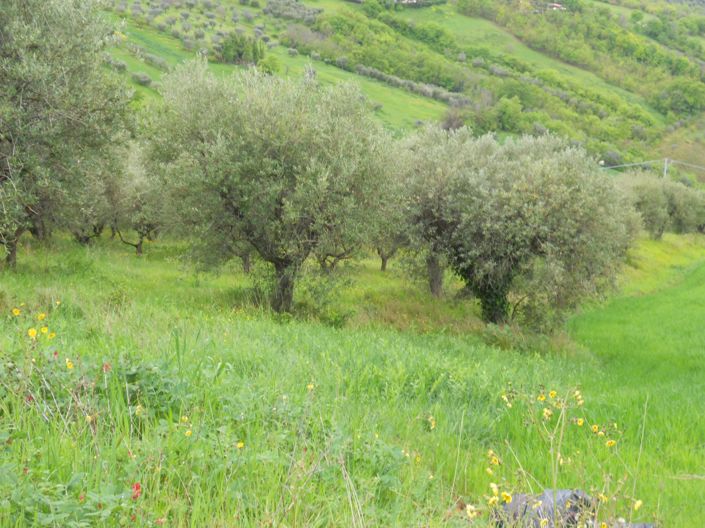 Image No.12-Property for sale