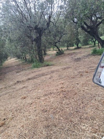 Image No.15-Property for sale