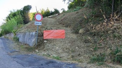 5316-colonella-july-2026-1w