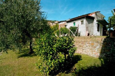 5335-buggiano-collinare-a7