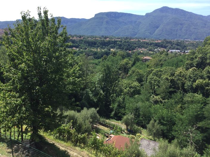 Image No.14-5 Bed House for sale