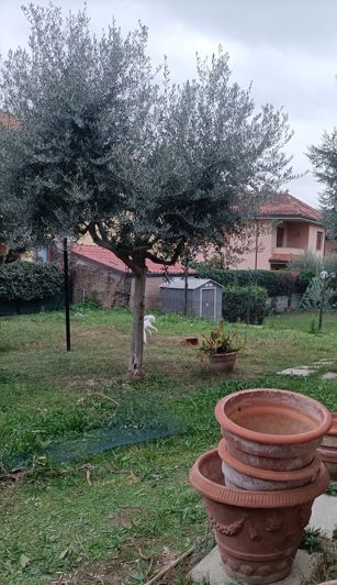 Image No.6-4 Bed Property for sale