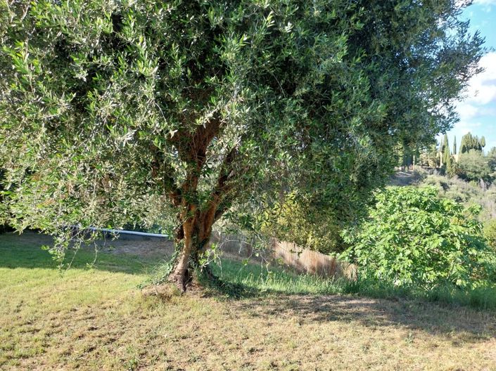 Image No.11-Propriété de 3 chambres à vendre à Castorano