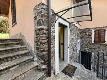 5462-cremia-a29