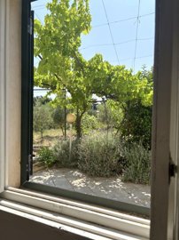 5494-selva-di-fasano-e1