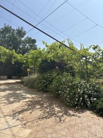 5494-selva-di-fasano-a14