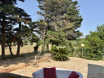 5494-selva-di-fasano-a10