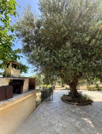 5494-selva-di-fasano-a8