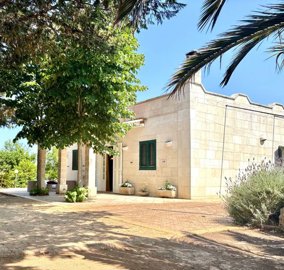 5494-selva-di-fasano-a2