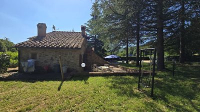 5502-castelnuovo-di-val-di-cecina-a4w