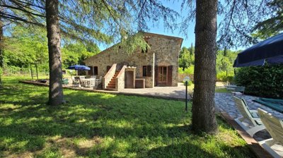 5502-castelnuovo-di-val-di-cecina-a7w