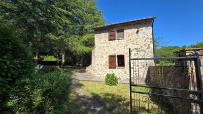 5502-castelnuovo-di-val-di-cecina-a3w