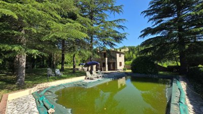 5502-castelnuovo-di-val-di-cecina-b1w