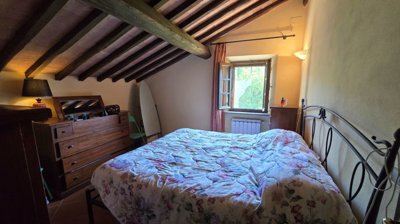 5502-castelnuovo-di-val-di-cecina-f2w