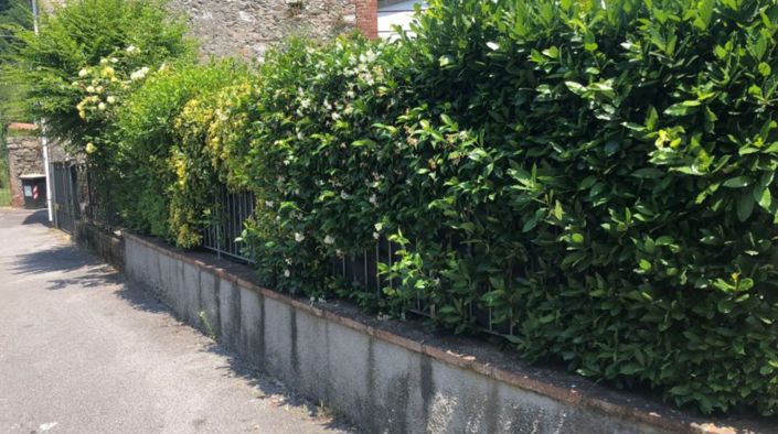 Image No.11-Maison de 2 chambres à vendre à Borgo a Mozzano