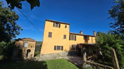 5528-volterra-4
