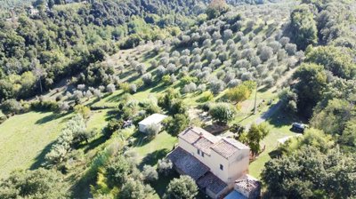 5528-volterra-8