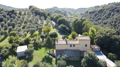 5528-volterra-10