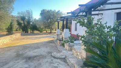 5538-san-vito-dei-normanni-a10w