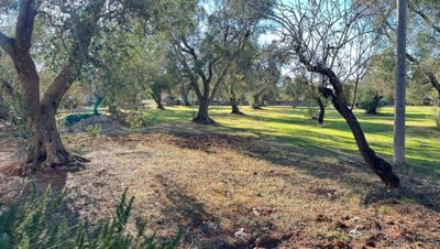 5538-san-vito-dei-normanni-a9w