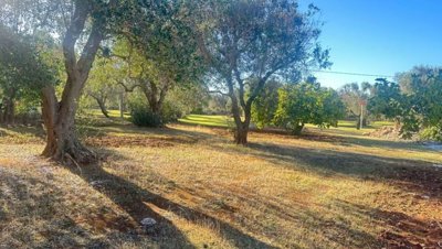 5538-san-vito-dei-normanni-a8w