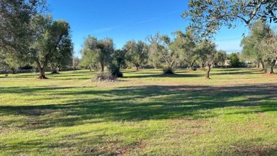 5538-san-vito-dei-normanni-a5w