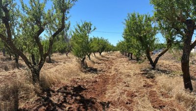 5540-san-vito-dei-normanni-a5w