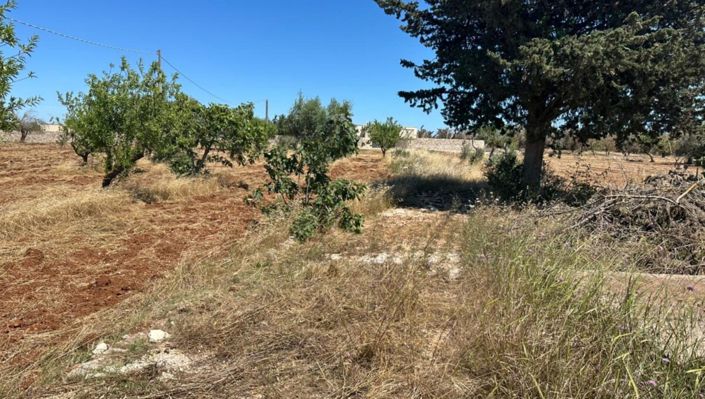 Image No.9-2 Bed Villa for sale