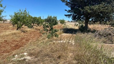 5540-san-vito-dei-normanni-a6w