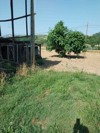 Image No.3-3 Bed Property for sale