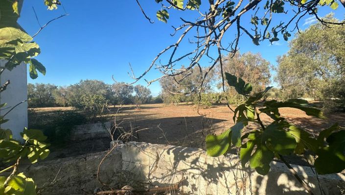 Image No.10-Maison de 1 chambre à vendre à San Vito dei Normanni