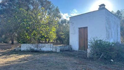 5553-san-vito-dei-normanni-a2