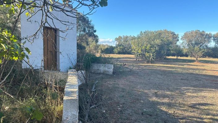 Image No.8-Maison de 1 chambre à vendre à San Vito dei Normanni