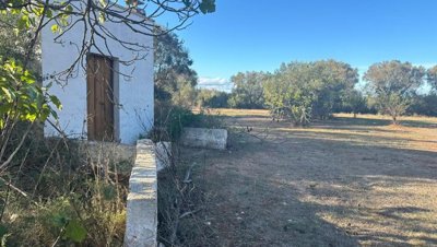 5553-san-vito-dei-normanni-a6